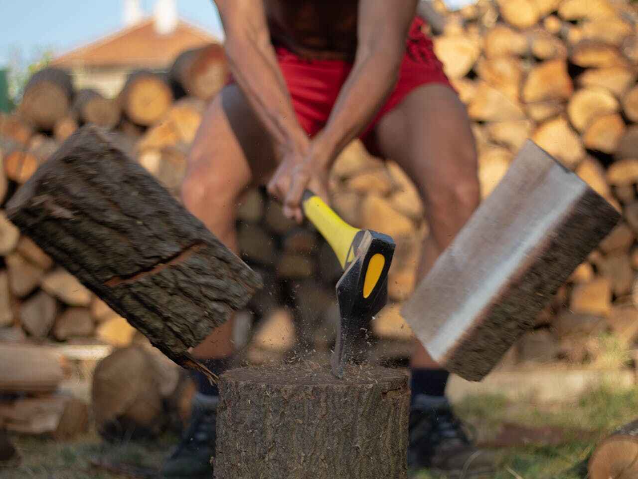 The Steps Involved in Our Tree Care Process in Oxford, MI